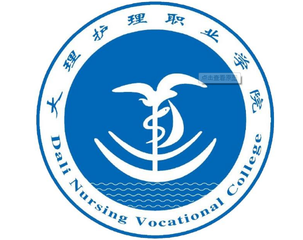 大理护理职业学院怎么样 好不好